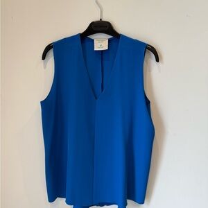 Vibrant Blue Sleeveless Blouse with V-Neckline